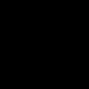 Meet your Posher, Parryk